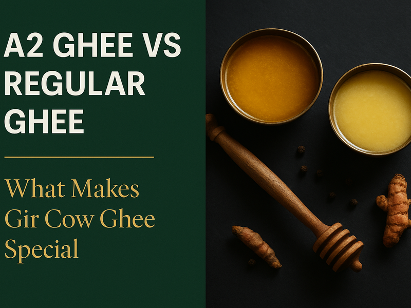 A2 Ghee vs Regular Ghee: The Complete Gir Cow Comparison