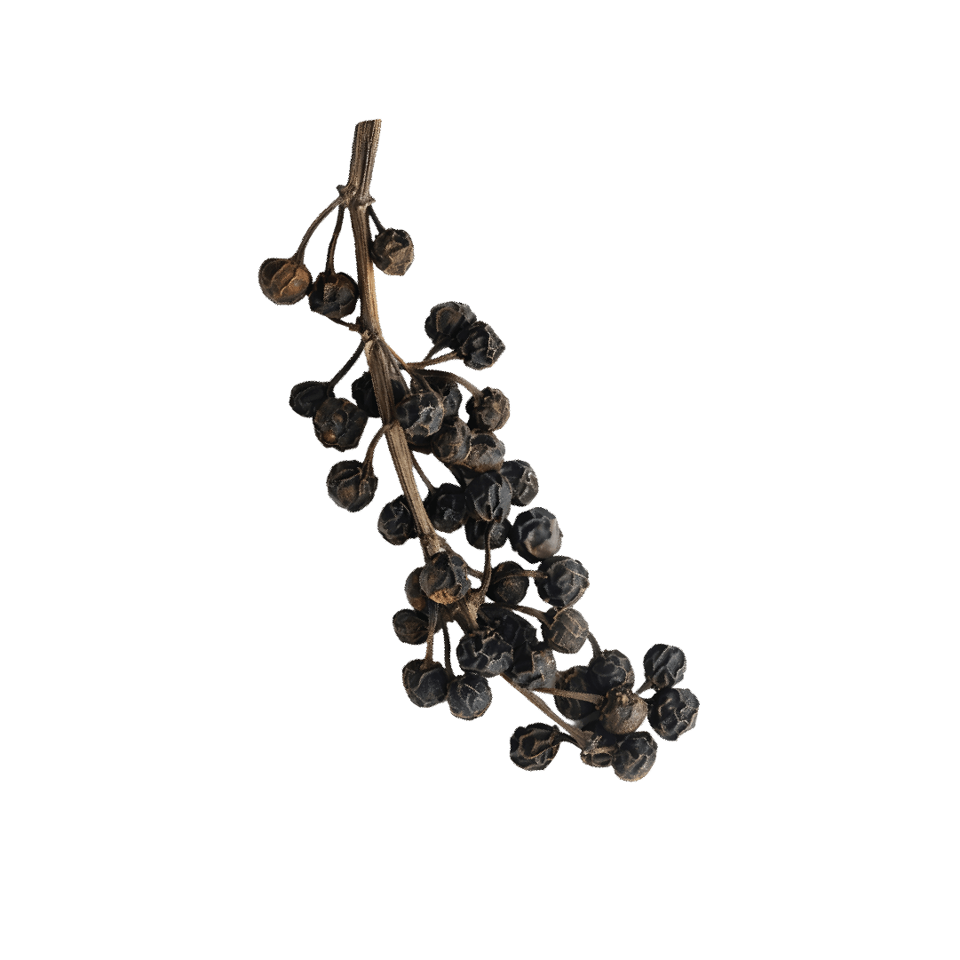 Decorative