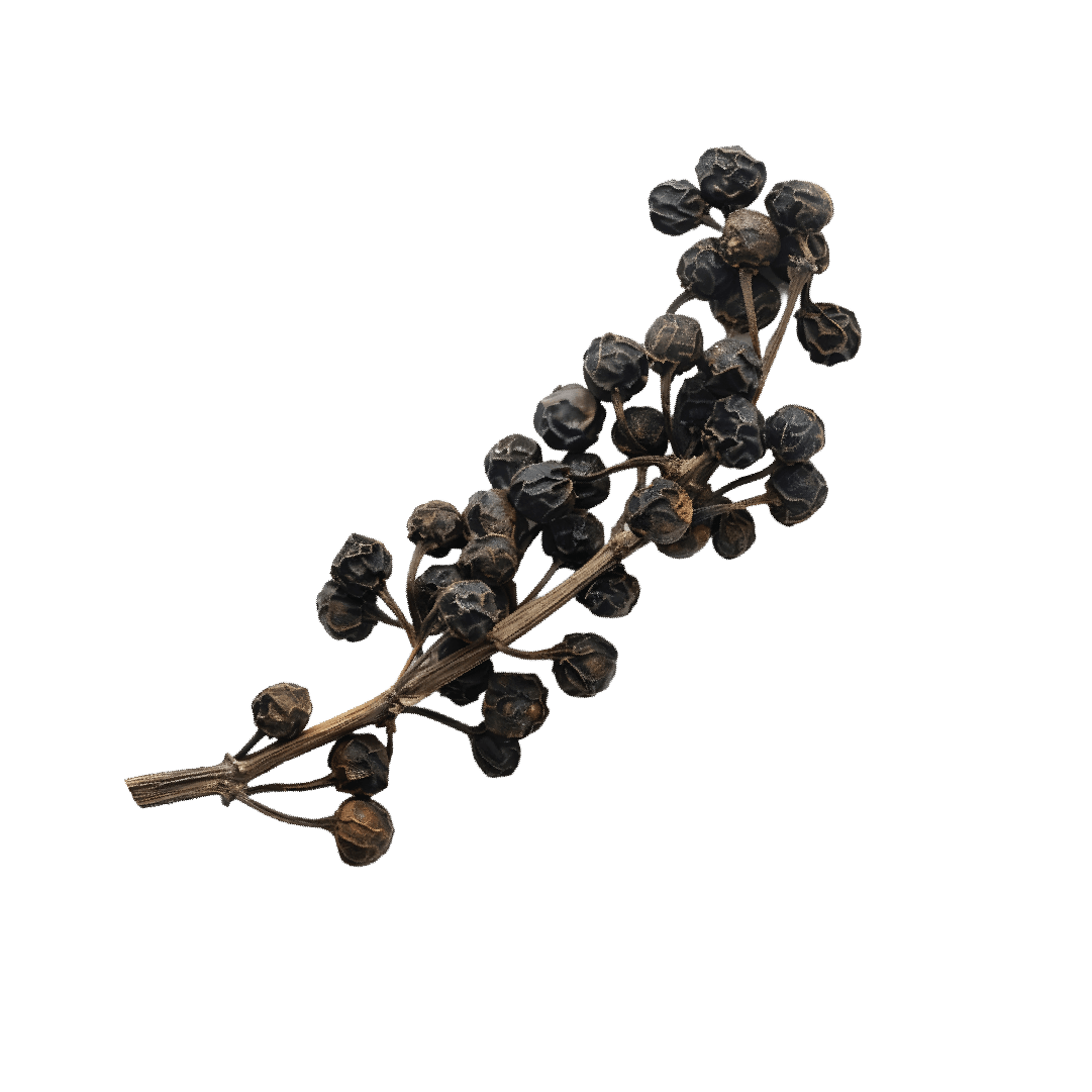 Decorative
